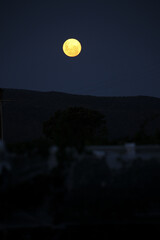 Poster - Vertical shot of a full moon in a night sky