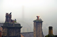 Atmospheric Image Of Crows Perched On Chimneys In Winter Fog In Hebden Bridge West Yorkshire
