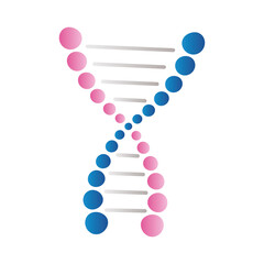 Canvas Print - dna blue and pink