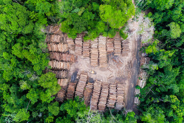 Poster - Aerial view of a log storage yard from authorized logging in an area of the Brazilian Amazon rainforest.