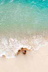 Wall Mural - Girl in a swimsuit alone on the beach of the ocean. Top view, photo from a drone.