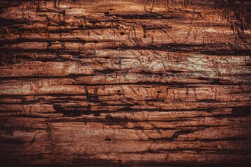 Wall Mural - Old wooden background texture plank. nature floor