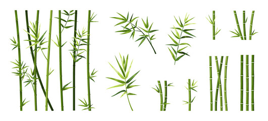  Bamboo leaf and stick. Cartoon tropical trees trunks. Green Asian plants. Straight segmented stems and branches set. Japanese decorative elements for borders. Vector Chinese forest