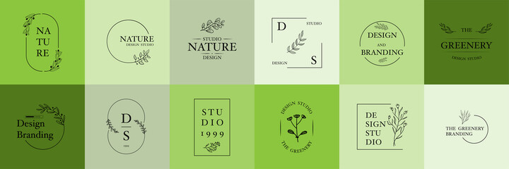 Wall Mural - set of natural business logo collection in minimal style vector template. vector with floral illustr