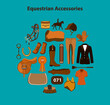Equestrian accessories. Horseback riding gear, tack