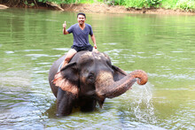Asian Handsome Man Elephant Ride Bathing Swimming At Elephant Camp On Kwai River Kanchanaburi Thailand Travel Tourism Business Concept Photo