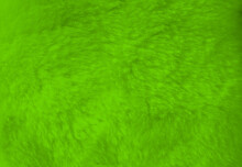 Green Fur Background Close Up View.