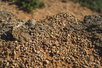 Sticker - Closeup shot of small pebbles on stone