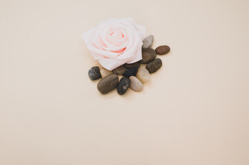 Wall Mural - Top view of an artificial pink rose surrounded by stoned on pastel peach surface for a copy space