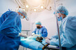 © romaset - Veterinarian surgeons in operating room doing cat neutering