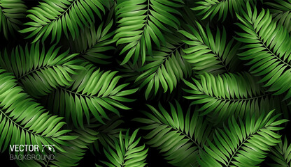 Wall Mural - Summer botanical exotic pattern with green palm tropical leaves on dark. Design for cosmetics spa medical products travel company. Vector on a black background.