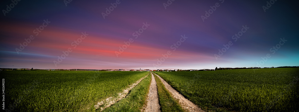 Panorama of green field with dirt road and sunset sky. Summer rural ...