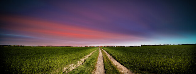 Wall Mural - Panorama of green field with dirt road and sunset sky. Summer rural landscape sunrise