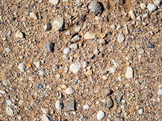 Sticker - Closeup surface texture with small stones on a dirty ground