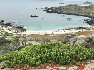 view from the beach