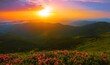 © Rushvol - scenic summer dawn floral image, amazing mountains landscape with blooming flowers at morning sunrise, scenic nature scenery, Carpathians, border Ukraine - Romania, Europe , Marmarosy