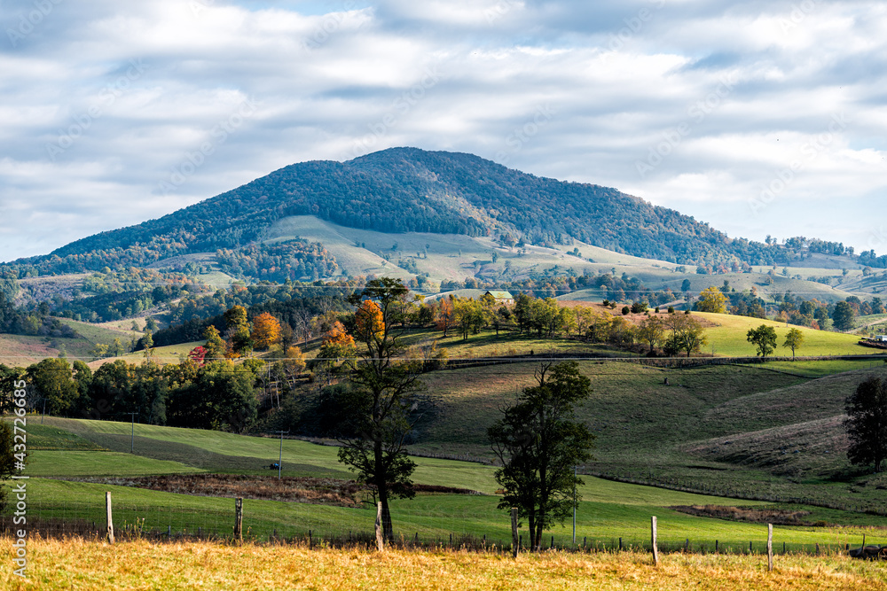 Upshaw Road Scenic Views