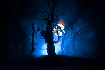 Wall Mural - spooky dark landscape showing silhouettes of trees in the swamp on misty night. night mysterious lan