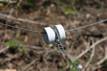 Wall Mural - Close up of a electrical wire fence around a pasture