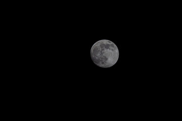 Poster - Shot of a full moon in a dark sky