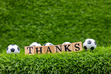 Wall Mural - Soccer thank you with ball and word THANKS on green grass