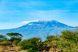 Fototapeta Sawanna -  The famous Mount Kilimanjaro