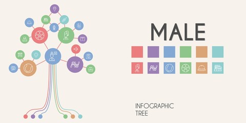 Poster - male vector infographic tree. line icon style. male related icons such as artemis, gender, briefcase, mall, exercise, football, tennis, jumping rope, candidate, stewardess