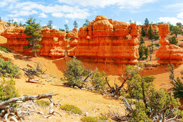 Scenic spots of America. Sunny day.