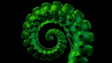 Abstract Curled Fern Leaf Isolated On Black Background. Green Fractal Elements. 3D Rendering