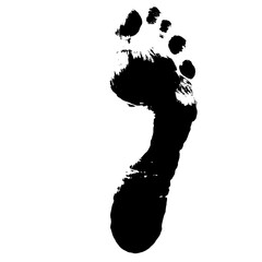 Sticker - Vector concept or conceptual black paint human foot or footprint isolated on white background. A metaphor for education, art, nature, health, environment, footprint and climate change