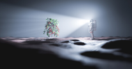 Wall Mural - astronaut discovers green plant on mars