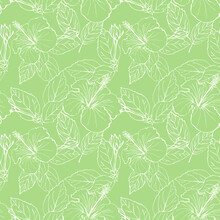 Hibiscus Flower Seamless Pattern. Hand Drawn Sketch Style. Line Art. Mallow Chinese Rose. Herbal Tea. Hawaii. Tropical Background For Paper, Textile, Wrapping And Wallpaper.