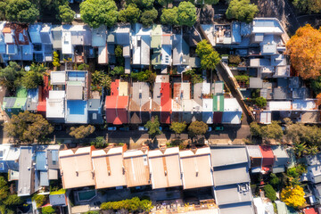 Canvas Print - D Sy Surry Hills roofs high