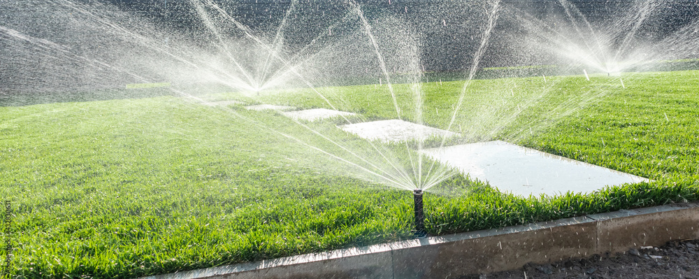 Garden irrigation system lawn. Automatic lawn sprinkler watering green ...