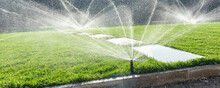 Garden Irrigation System Lawn. Automatic Lawn Sprinkler Watering Green Grass. Selective Focus.