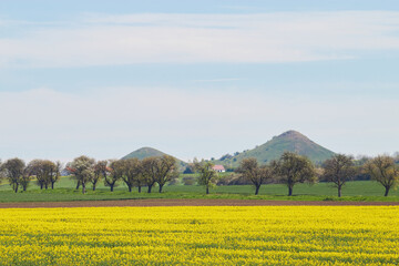 Spring landscape. Yellow rapeseed field. Brown earth. Flowering trees on a green field. Village houses with red roofs. Two mountains against a blue sky with clouds.