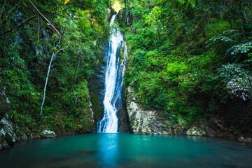 Sticker - Waterfall in the tropical rainforest landscape