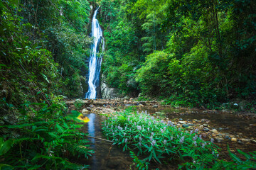 Wall Mural - Waterfall in the tropical rainforest landscape