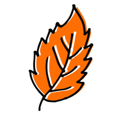 Wall Mural - Single hand drawn birch leaf for autumn decoration. Doodle vector illustration. Isolated on white background
