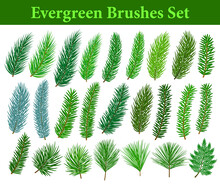 Collection Of Evegreen Coniferous Trees Branches Brushes Like Fir, Cedar, Pine, Cypress, Spruce With Differrnt Types Of Needles For Your Christmas, Winter, Seasonal Designs. Included In Brush Library.