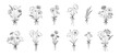 © Vodoleyka - Wildflower line art bouquets set. Hand drawn flowers, meadow herbs, wild plants, botanical elements for design projects. Vector illustration.