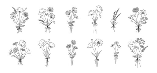wildflower line art bouquets set. hand drawn flowers, meadow herbs, wild plants, botanical elements 