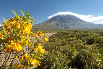 Wall Mural - El Misti volcano near Arequipa city in Peru