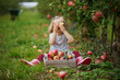 Adorable toddler girl picking red ripe organic apples in orchard or on farm on a fall day