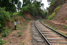 Railway In The Jungle, Sri Lanka