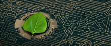 Green Leaf On The Converging Point Of Computer Circuit Board. Nature With Digital Convergence And Technological Convergence. Green Computing, Green Technology, Green IT, Csr, And IT Ethics Concept.