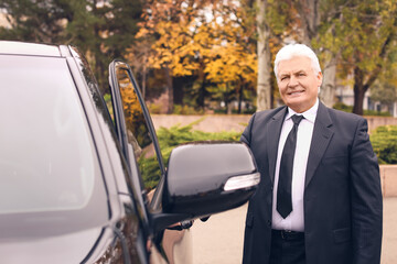 Poster - Senior businessman opening car door