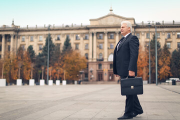 Poster - Senior businessman with briefcase outdoors