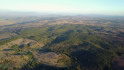 Wall Mural - flying over central chile forests during sunset an amazing view above the dense trees threaten by th