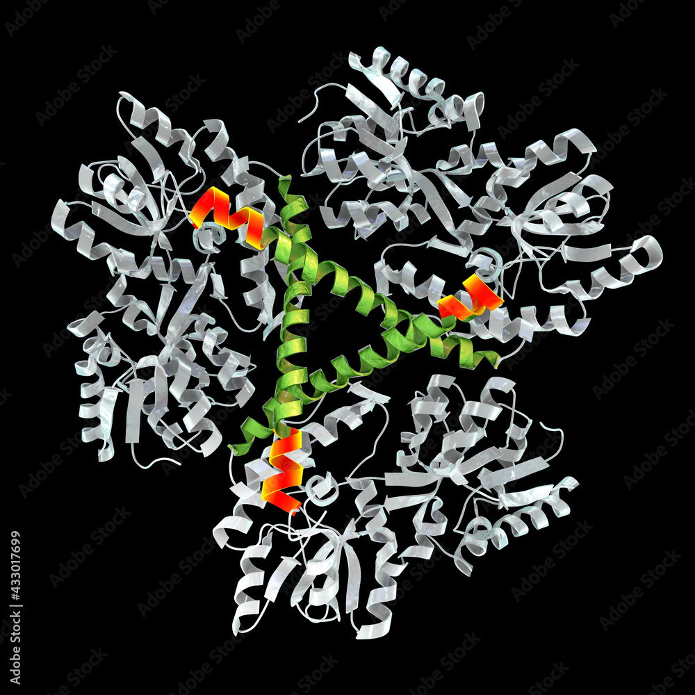 Csf Mhtt Illustrazione stock di Molecule of the mutated Huntingtin protein, mHtt ...